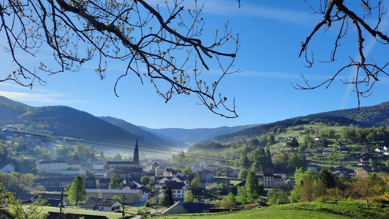 Gite Des 3 Jonquilles Saint Maurice sur Moselle Bagian luar foto