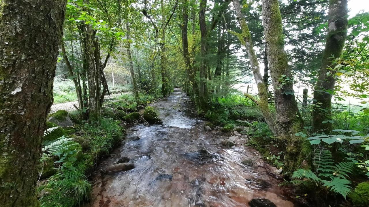 Gite Des 3 Jonquilles Saint Maurice sur Moselle Bagian luar foto