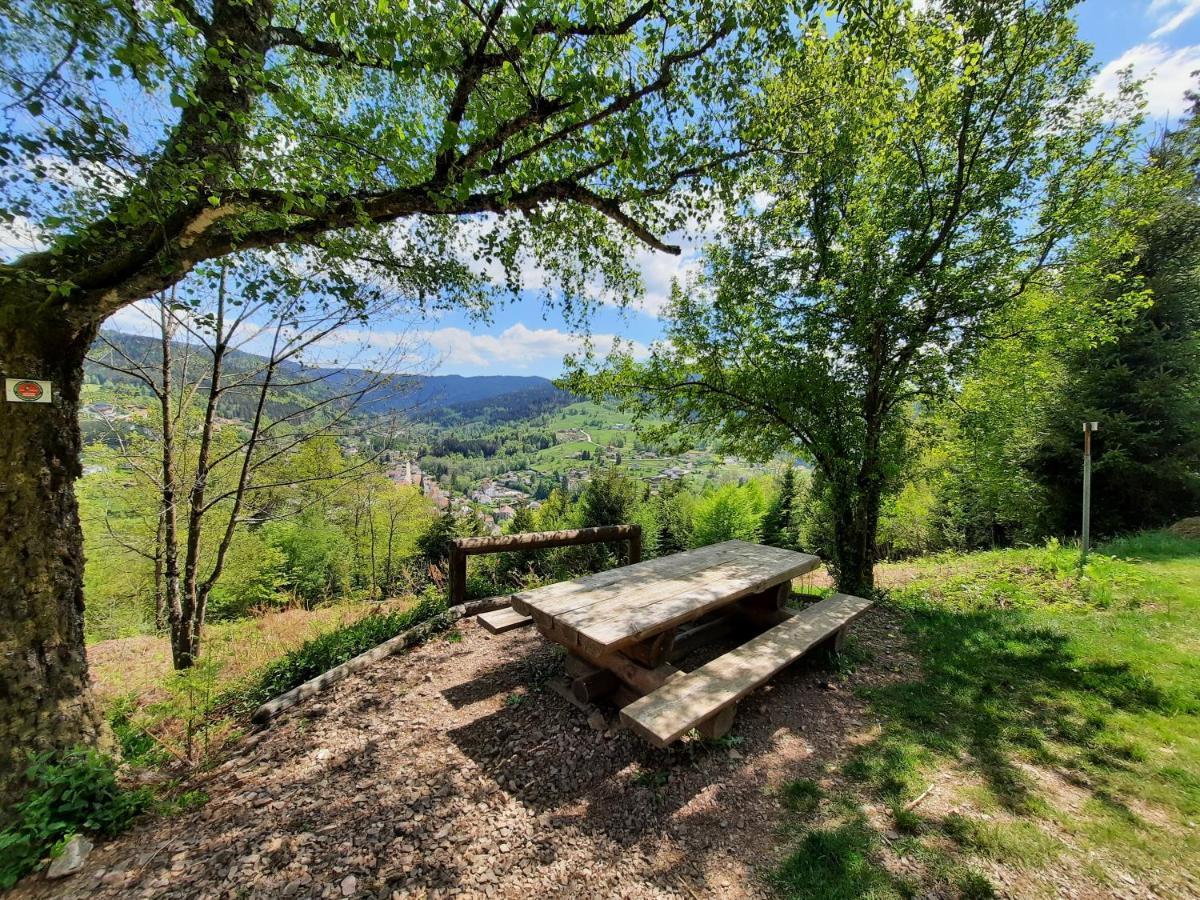 Gite Des 3 Jonquilles Saint Maurice sur Moselle Bagian luar foto
