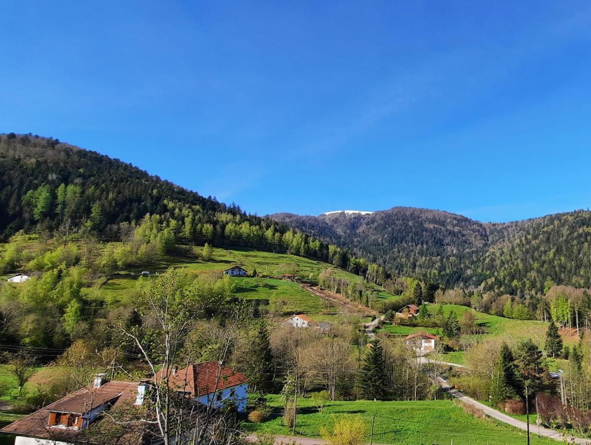 Gite Des 3 Jonquilles Saint Maurice sur Moselle Bagian luar foto